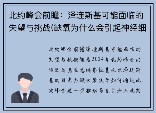 北约峰会前瞻：泽连斯基可能面临的失望与挑战(缺氧为什么会引起神经细胞兴奋性降低)