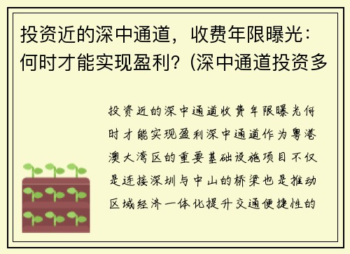 投资近的深中通道，收费年限曝光：何时才能实现盈利？(深中通道投资多少)