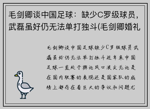 毛剑卿谈中国足球：缺少C罗级球员，武磊虽好仍无法单打独斗(毛剑卿婚礼)