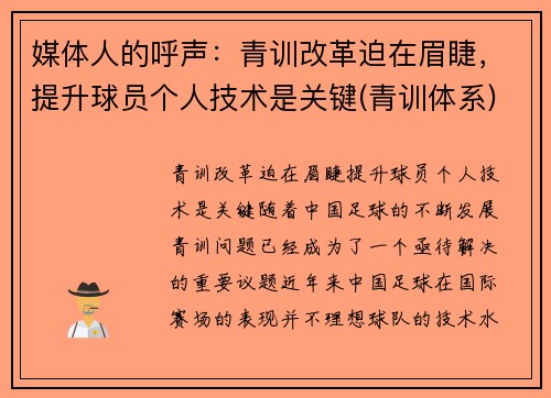 媒体人的呼声：青训改革迫在眉睫，提升球员个人技术是关键(青训体系)